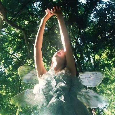 战争玩家 第一季